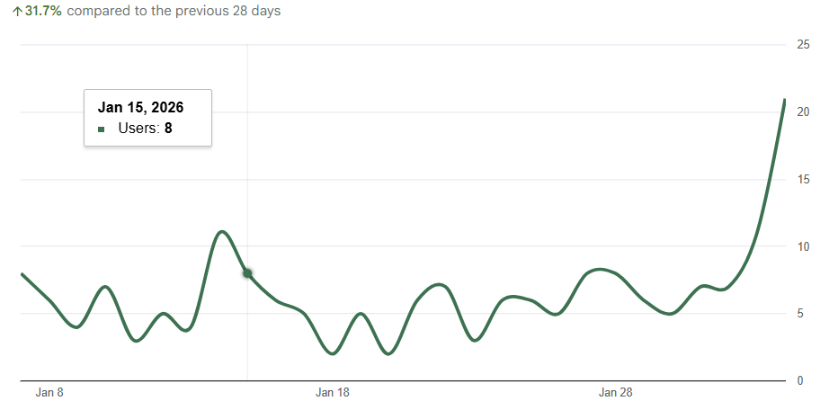 Website visits performance report